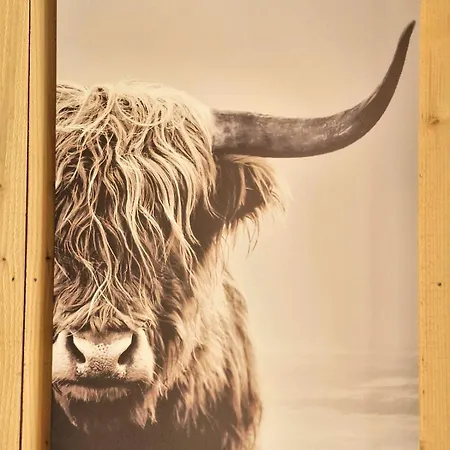 شقة Joli Cosy Guny