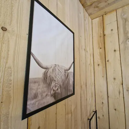 Joli Cosy شقة Guny